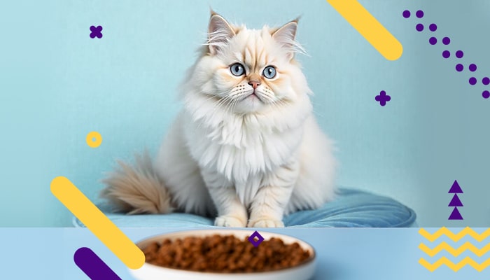 غذای گربه