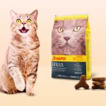 غذای گربه جوسرا کتلوکس 2 کیلویی