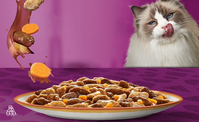 پوچ ویسکاس (Whiskas)