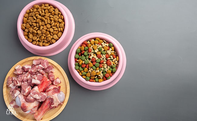 تفاوت غذای خشک و مرطوب برای سگ