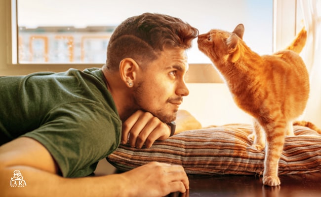 تکنیک‌های پیشرفته برای آموزش رفتار مثبت