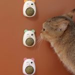 قیمت Wall Catnip