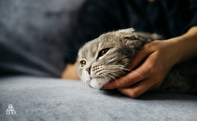 خوددرمانی و بهبودی