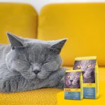 غذای گربه جوسرا لجر